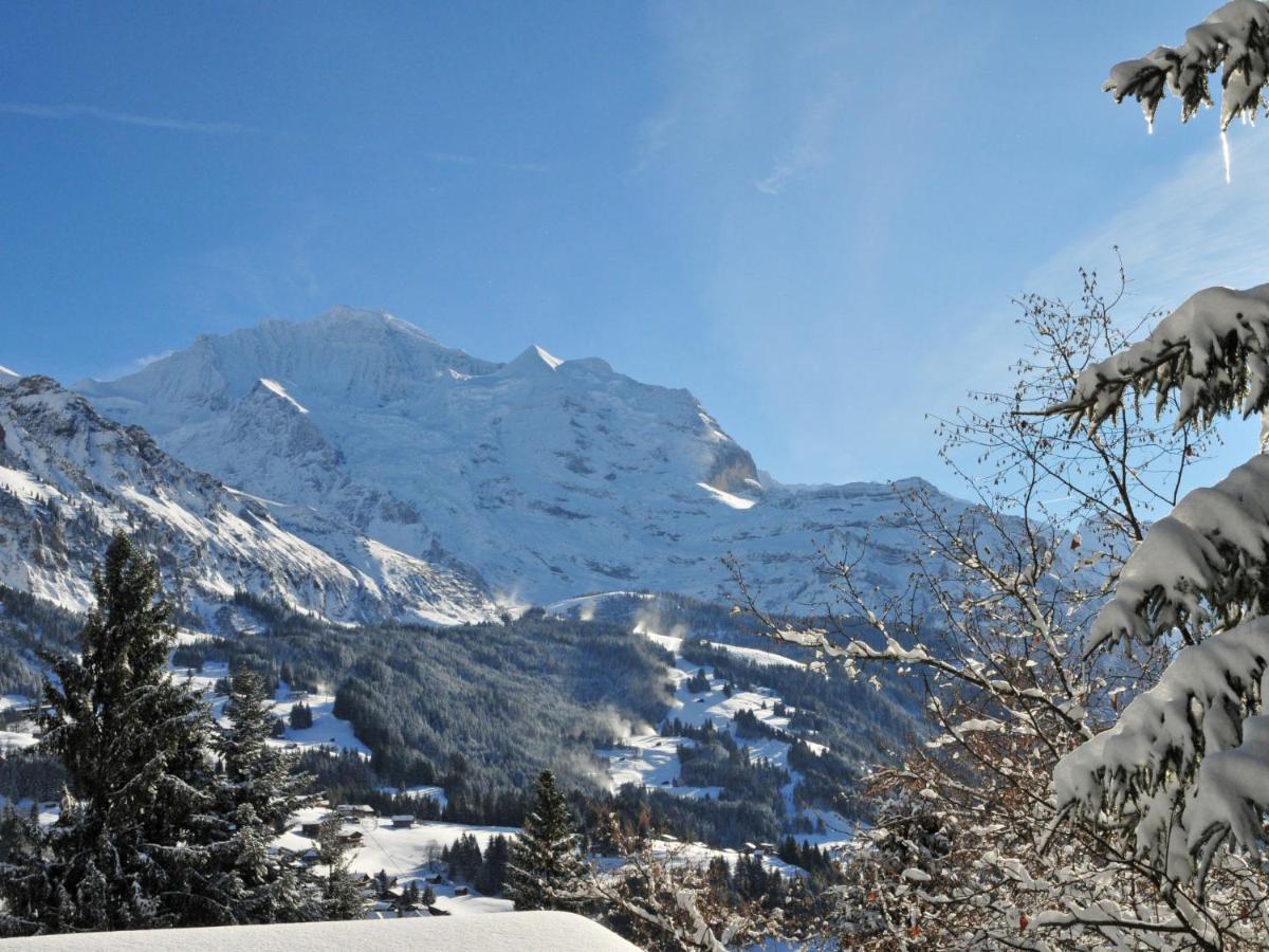 Chalet Zwaergli By Interhome Wengen Exterior photo